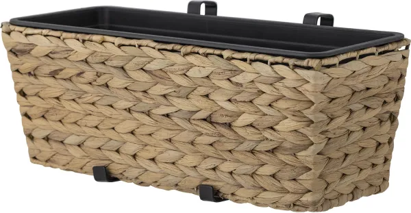 Raul, Blomsterpotte, natur, natur